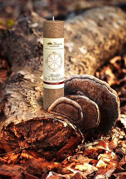 mood-46_herbst-t-n-gleiche_a5